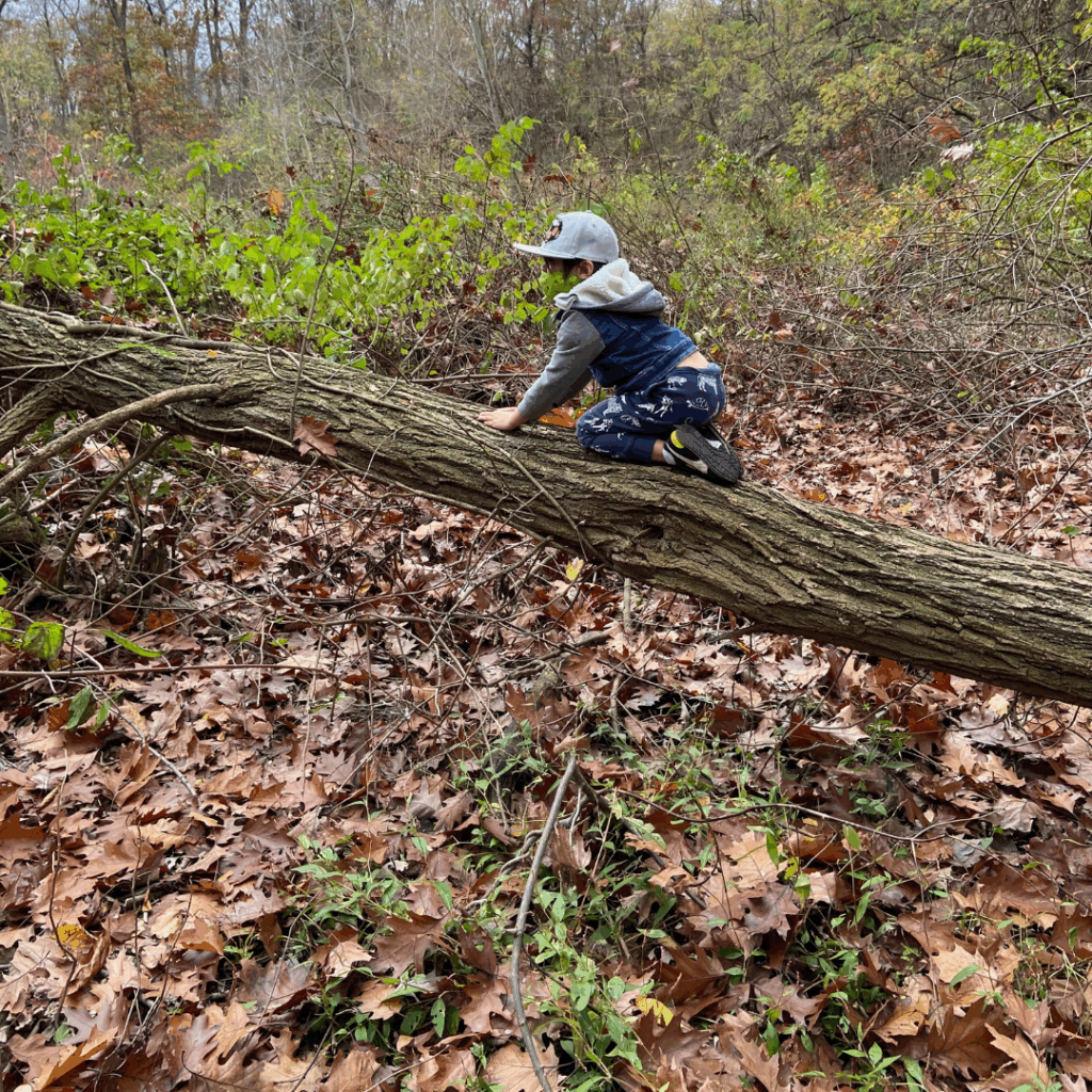 kids playing fall alphabet scavenger hunt outdoors