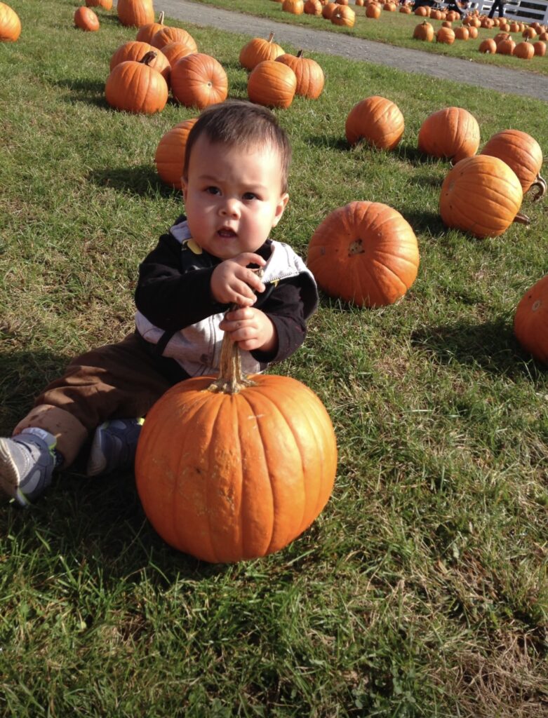 pumpkin patch