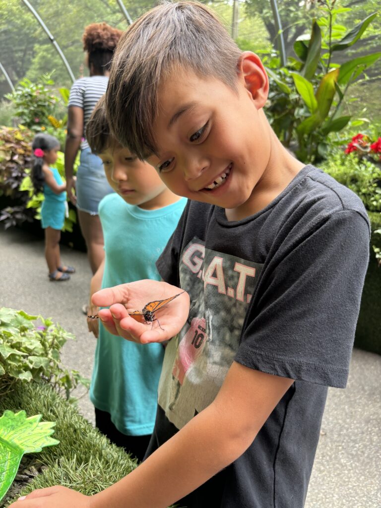 A peaceful, hopeful moment representing how practicing kindness can continue quietly beyond a structured challenge