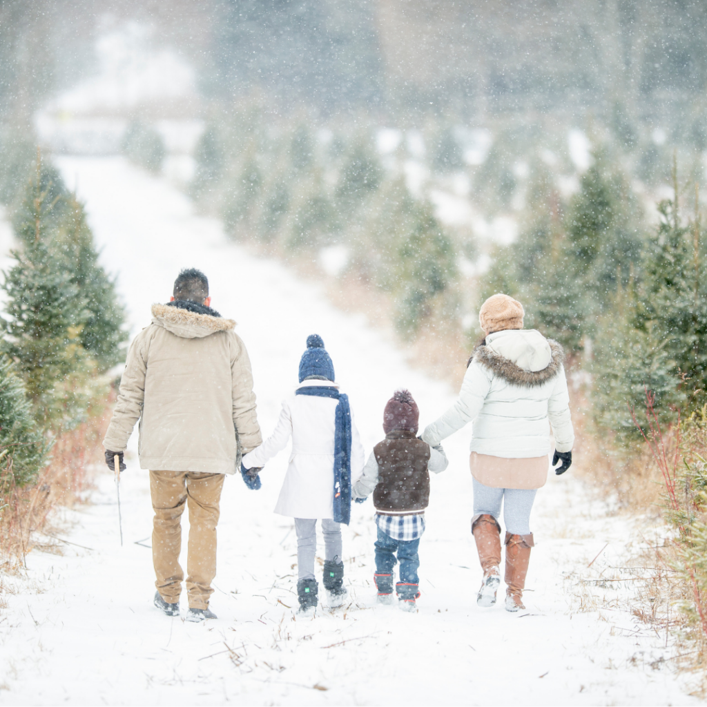 Family walking together during a quiet winter afternoon